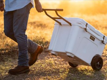 cooler with wheels