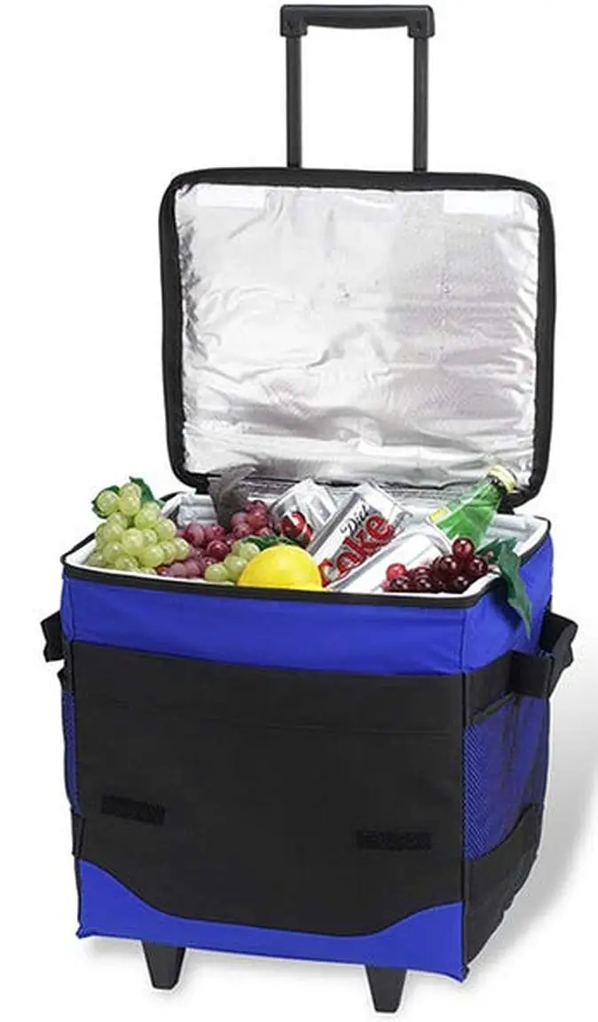 picnic-at-ascot-1 Picnic At Ascot cooler