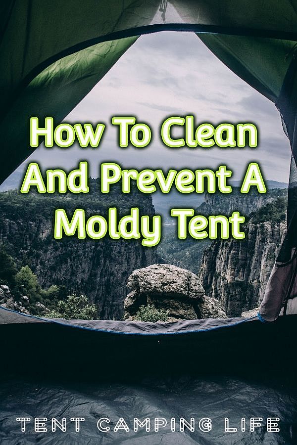 How To Clean And Prevent A Moldy Tent Tent Camping Life
