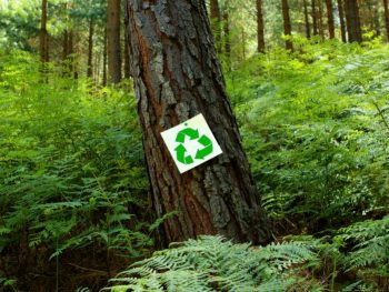 recycle sign on a tree