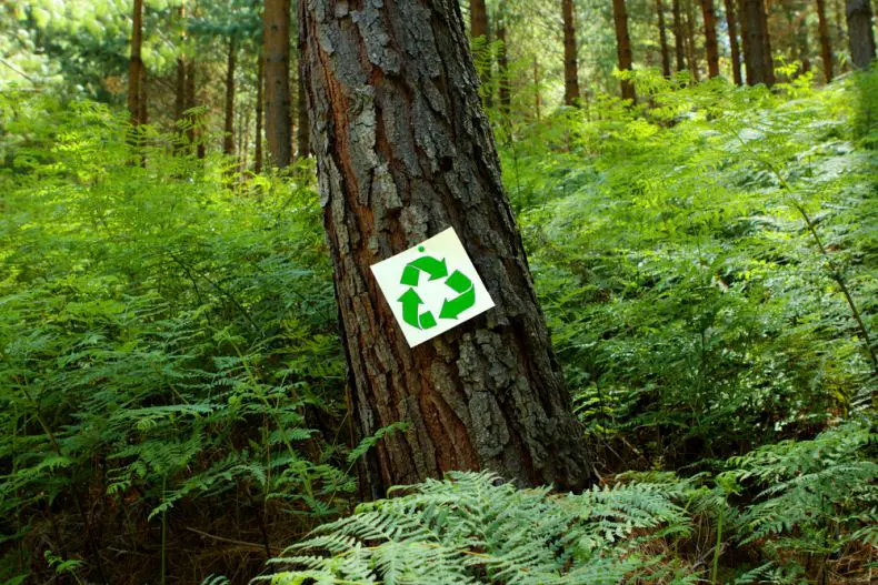 recycle sign on a tree