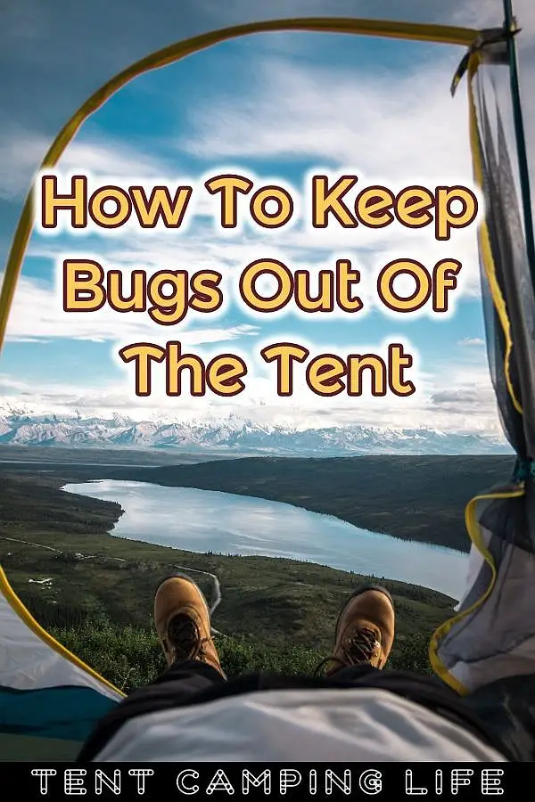 How To Keep Bugs Out Of The Tent – Tent Camping Life