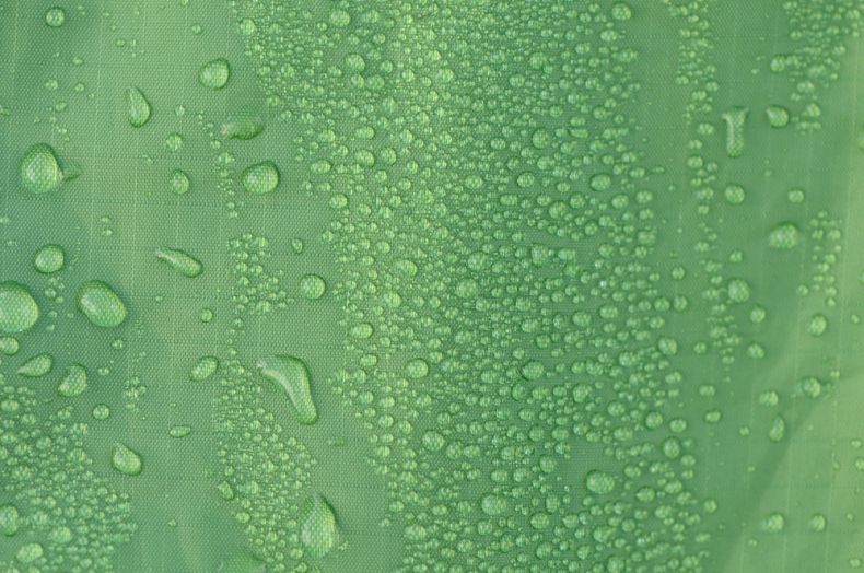 condensation droplets on a tent