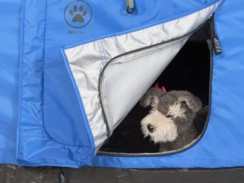 tent with a dog door