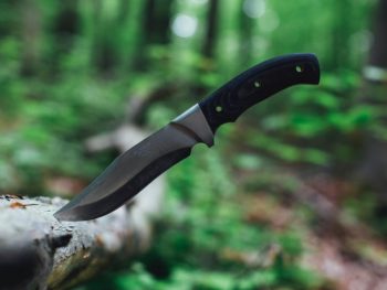knife in log