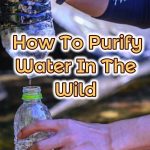 purifying water in the wild