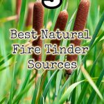 best natural tinder
