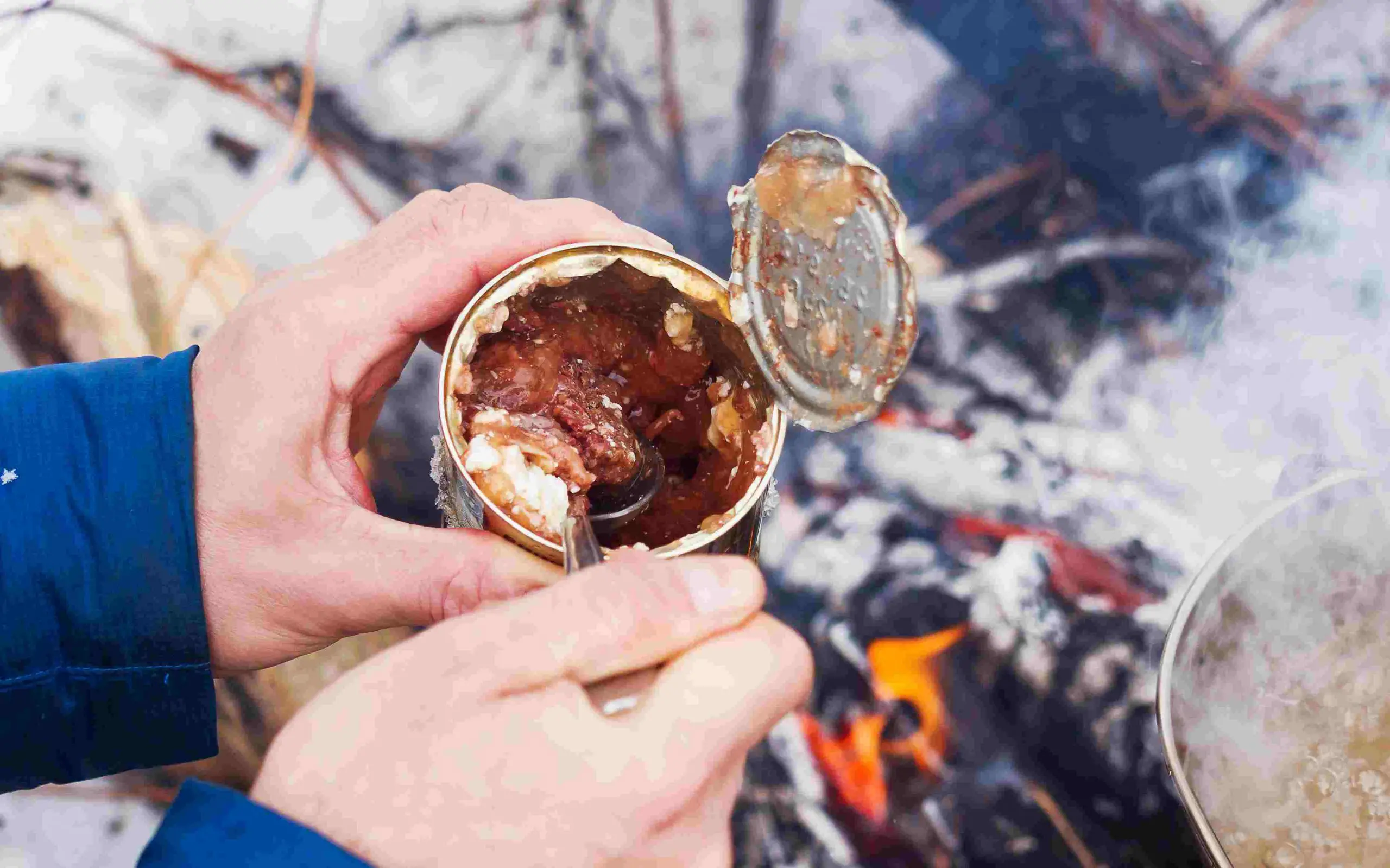 10 Best Canned Foods For Camping