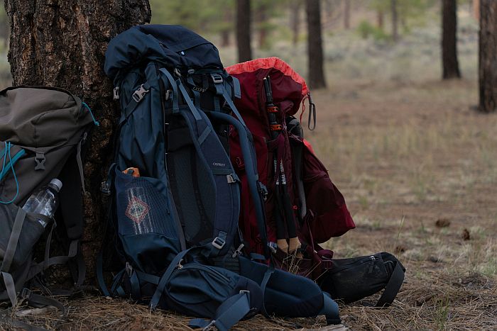 backpacks against a tree