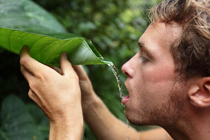 man drinking water off of a leaf