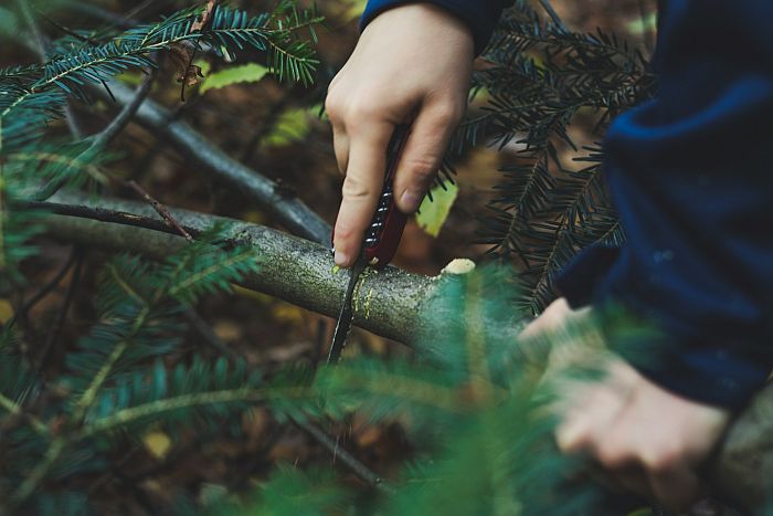 man sawing a branch with a knife